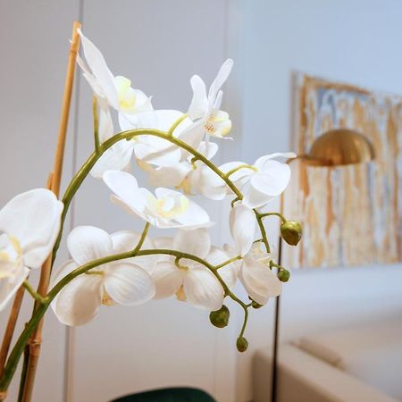 Tirso Suite Madrid Eksteriør bilde