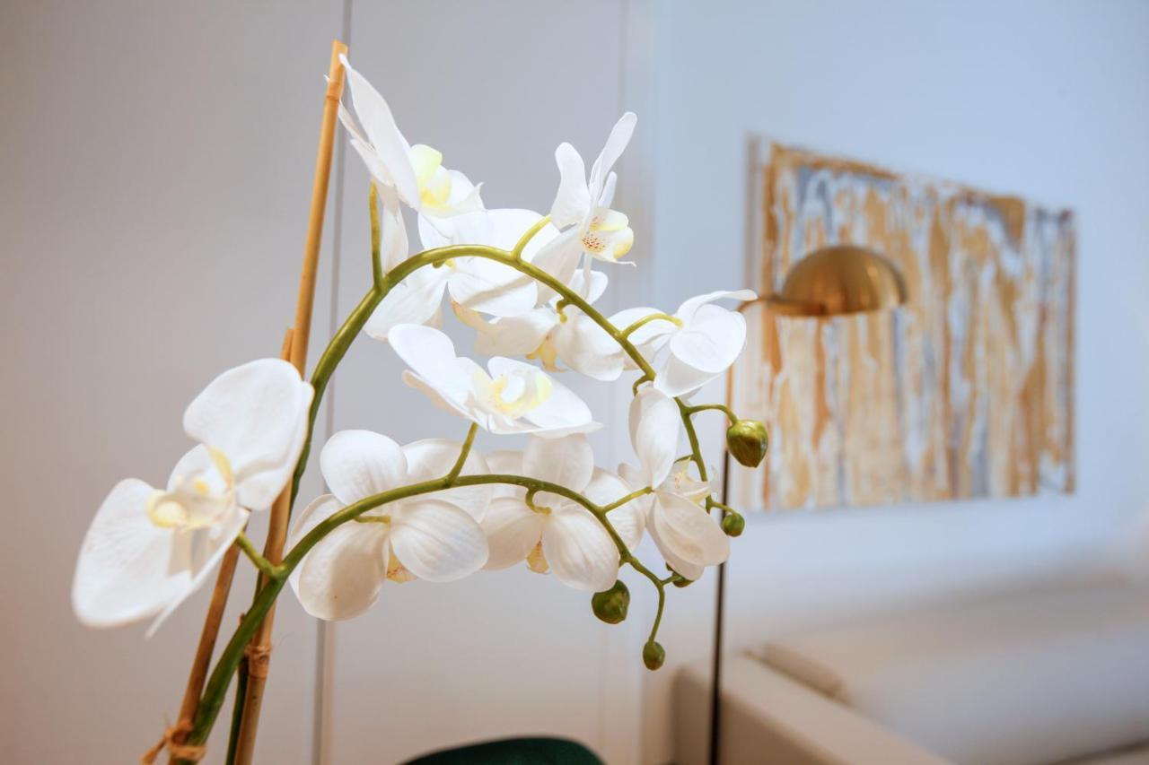 Tirso Suite Madrid Eksteriør bilde